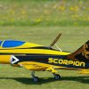 Scorpion